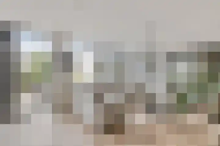 Binnendijk 126 Huissen thumbnail 8