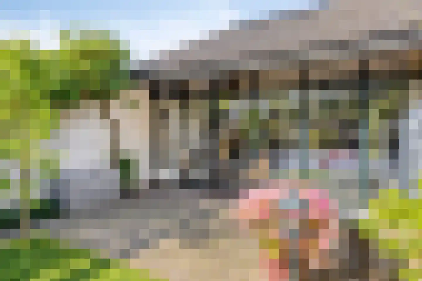 Binnendijk 132 Huissen thumbnail 10