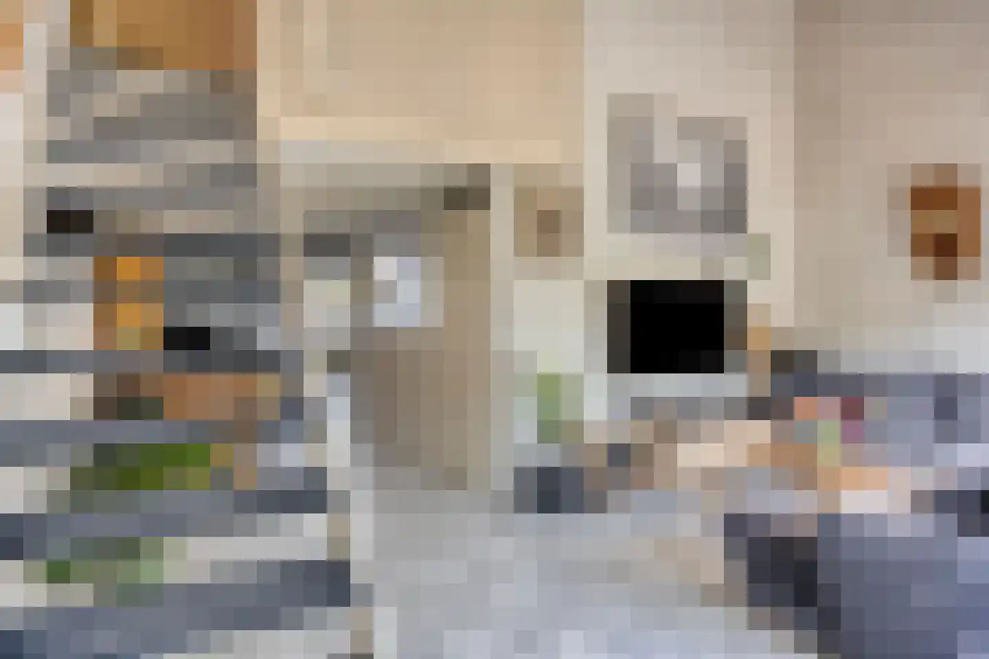 Binnendijk 132 Huissen thumbnail 12