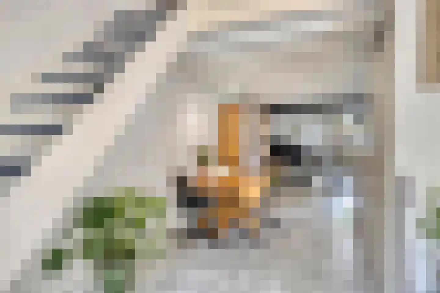 Binnendijk 132 Huissen thumbnail 13