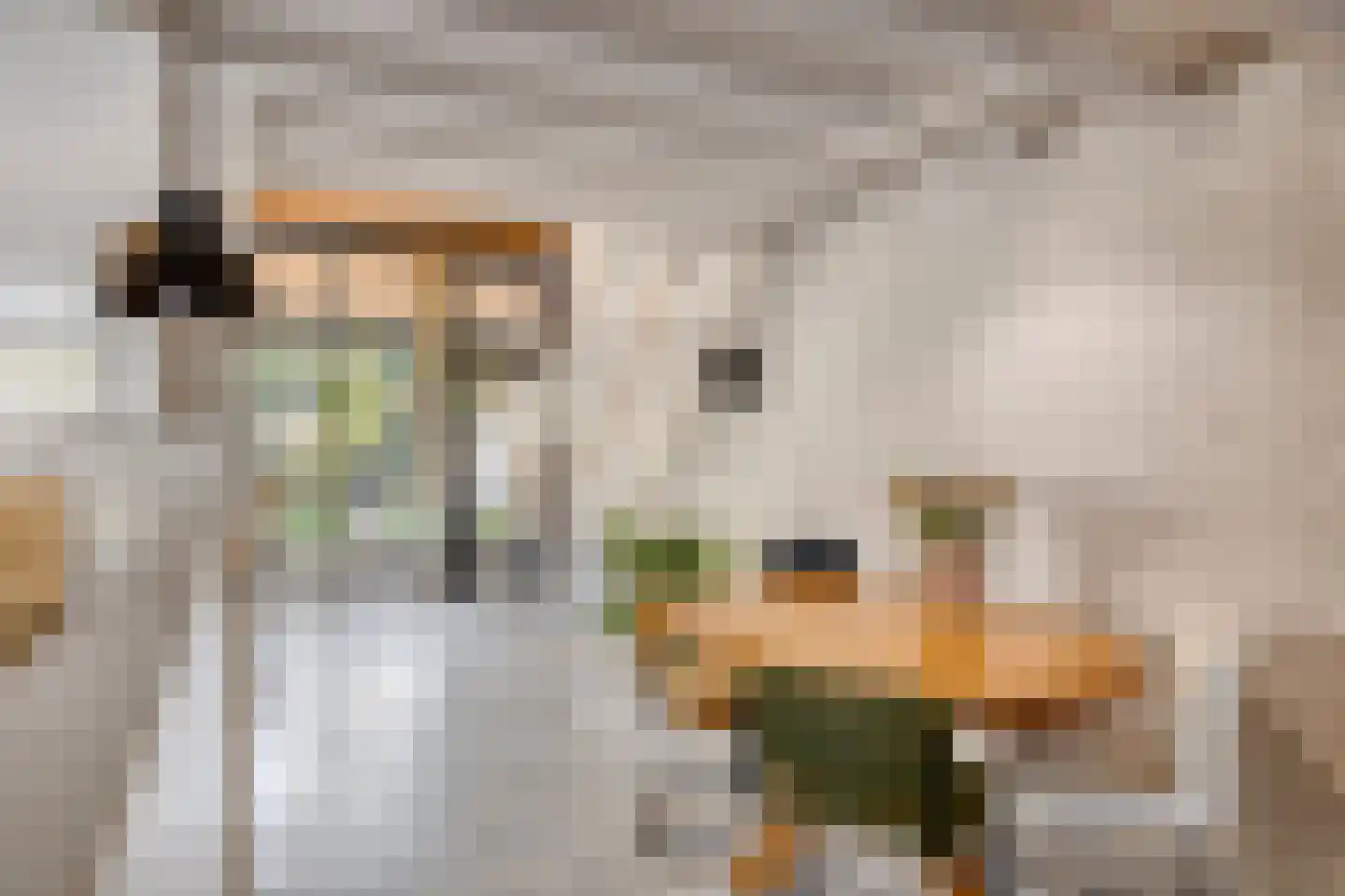 Binnendijk 132 Huissen thumbnail 15