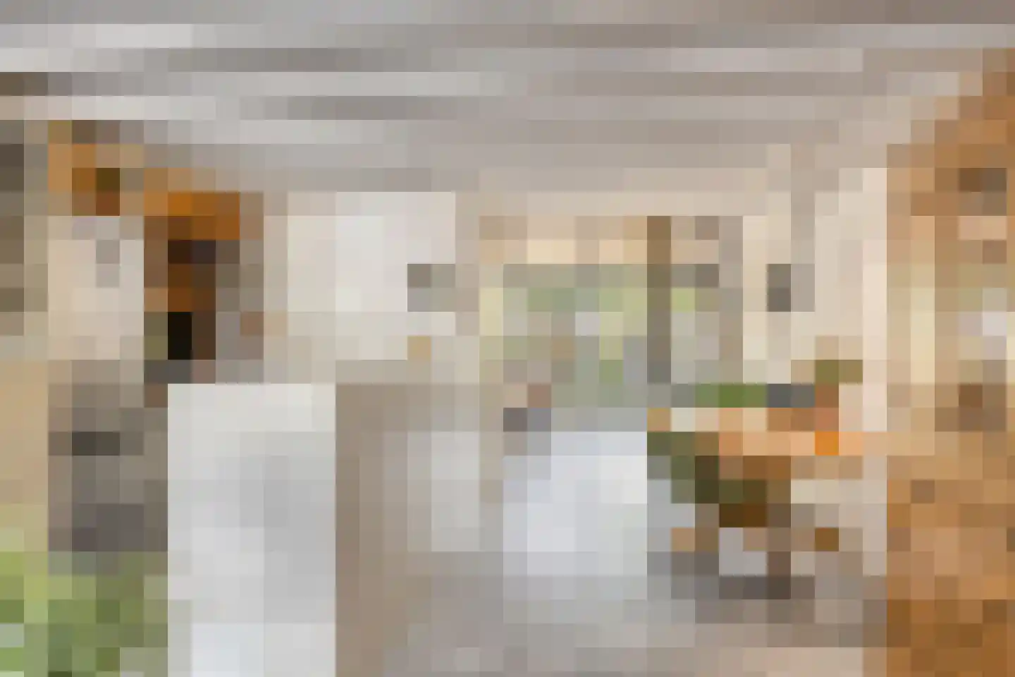 Binnendijk 132 Huissen thumbnail 16