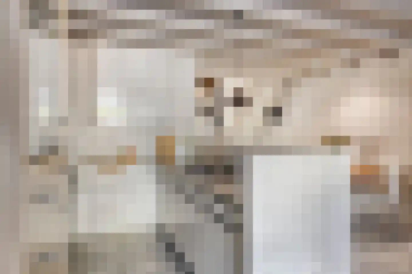 Binnendijk 132 Huissen thumbnail 17