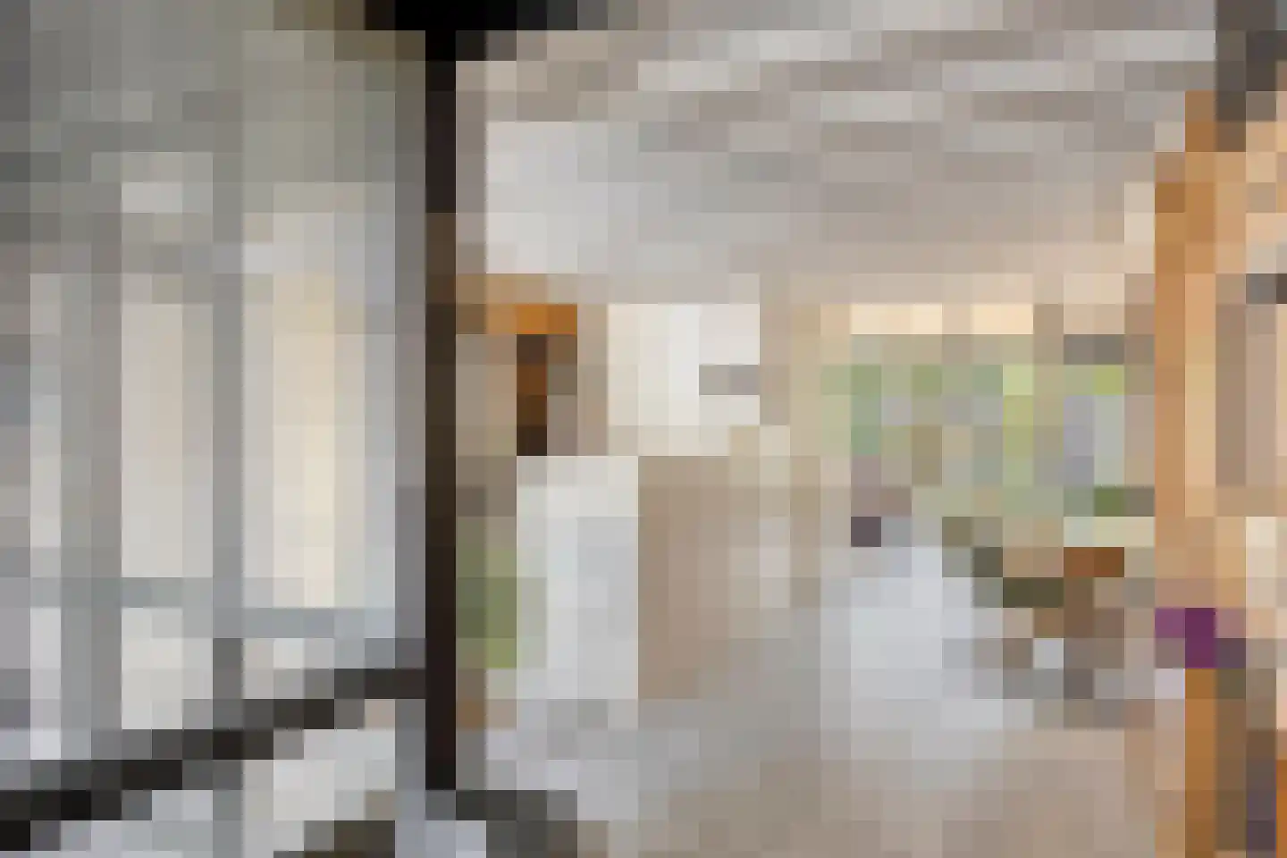 Binnendijk 132 Huissen thumbnail 19