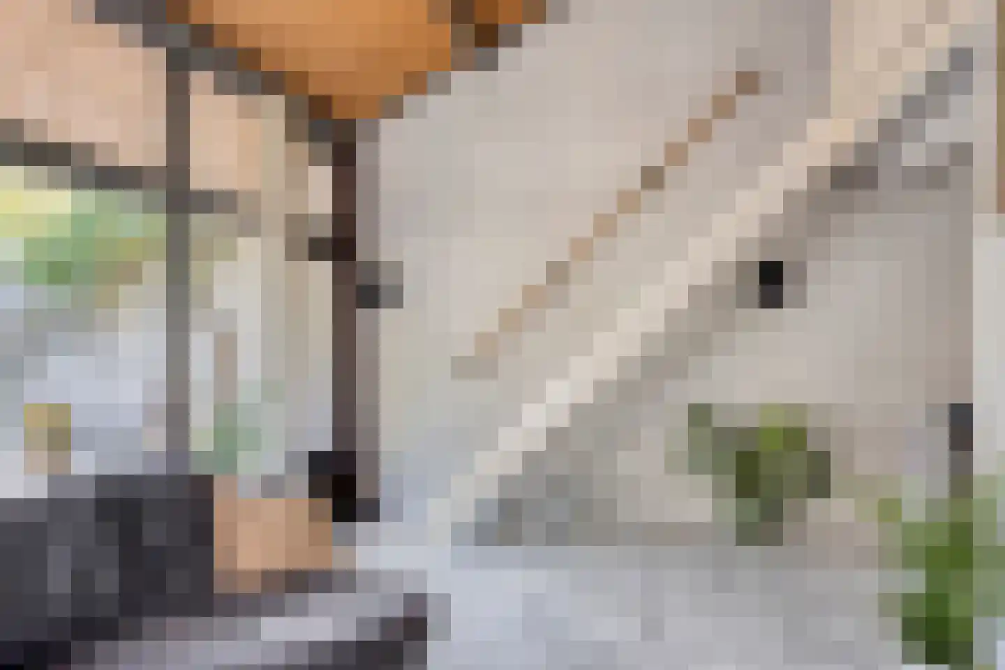 Binnendijk 132 Huissen thumbnail 21