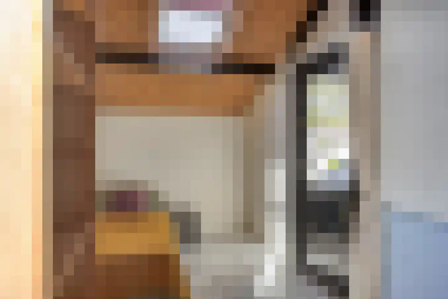 Binnendijk 132 Huissen thumbnail 27