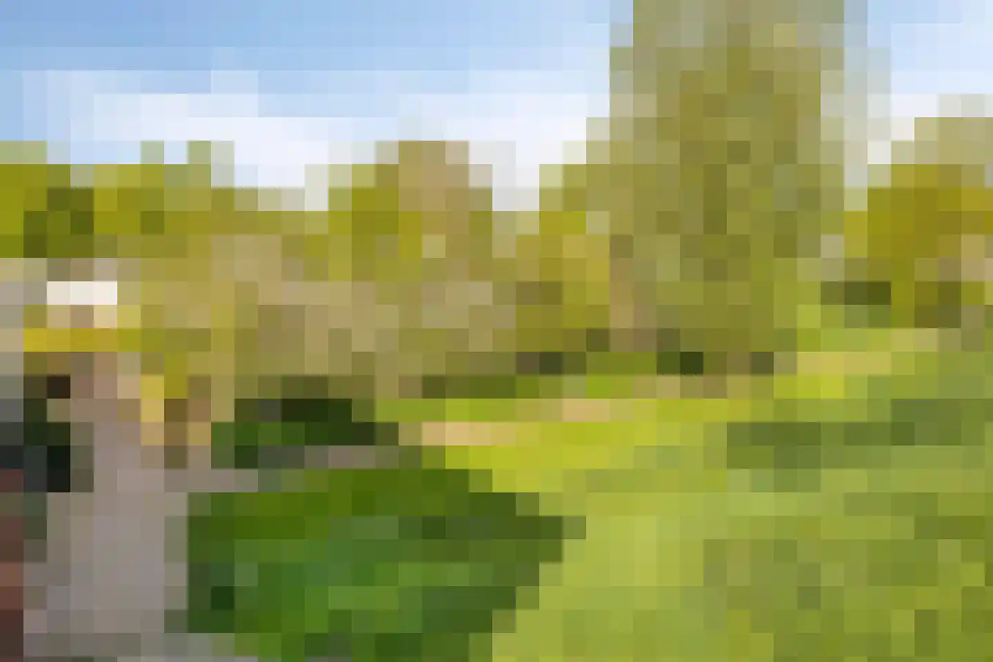 Binnendijk 132 Huissen thumbnail 35