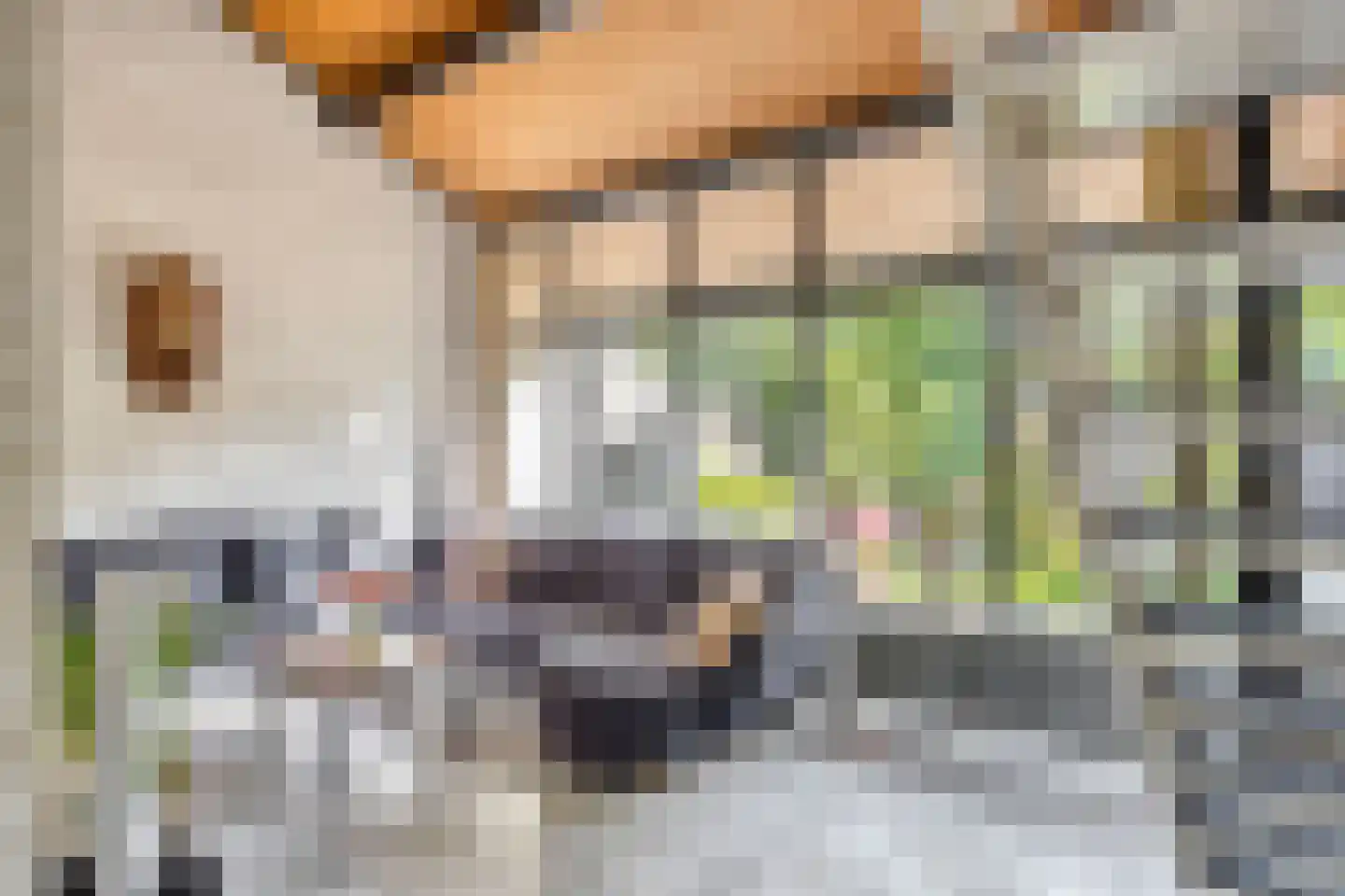 Binnendijk 132 Huissen thumbnail 4