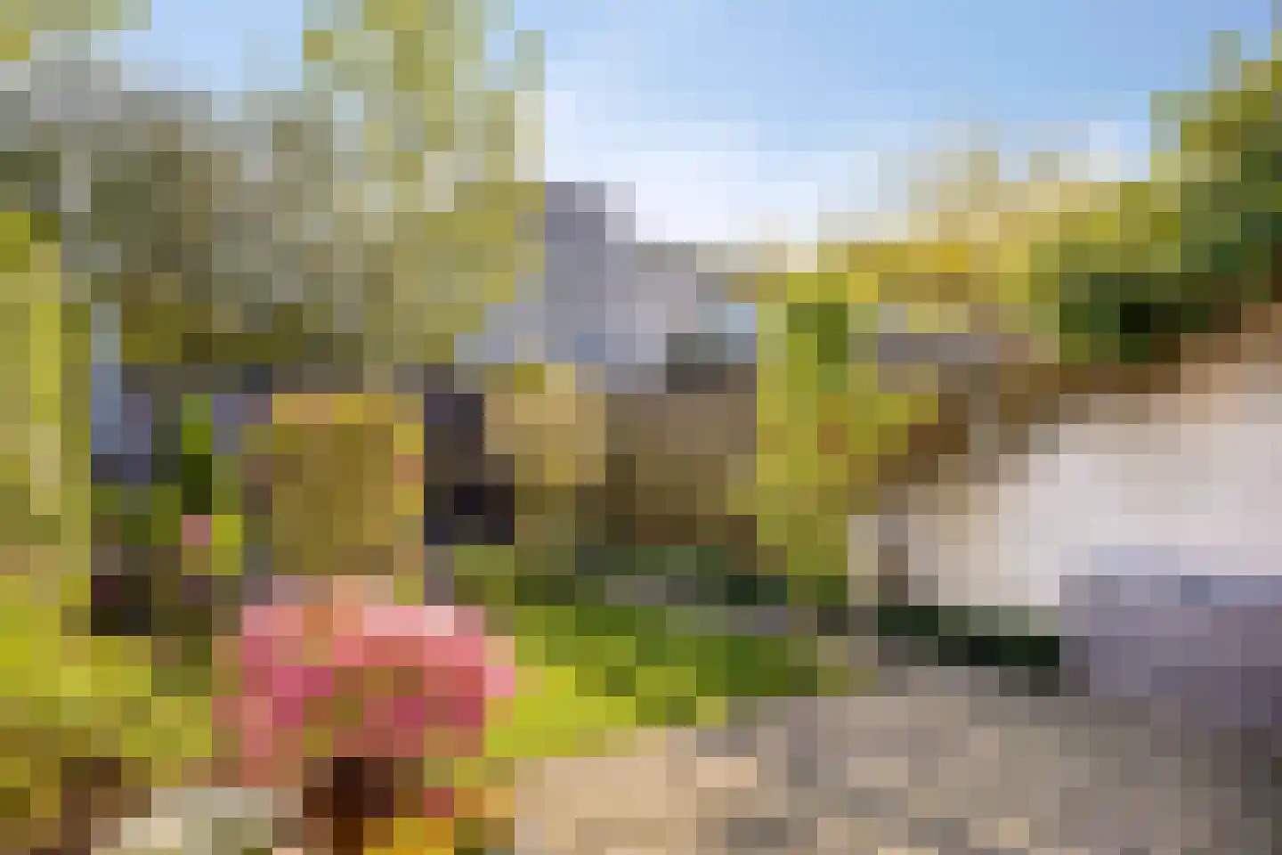 Binnendijk 132 Huissen thumbnail 6