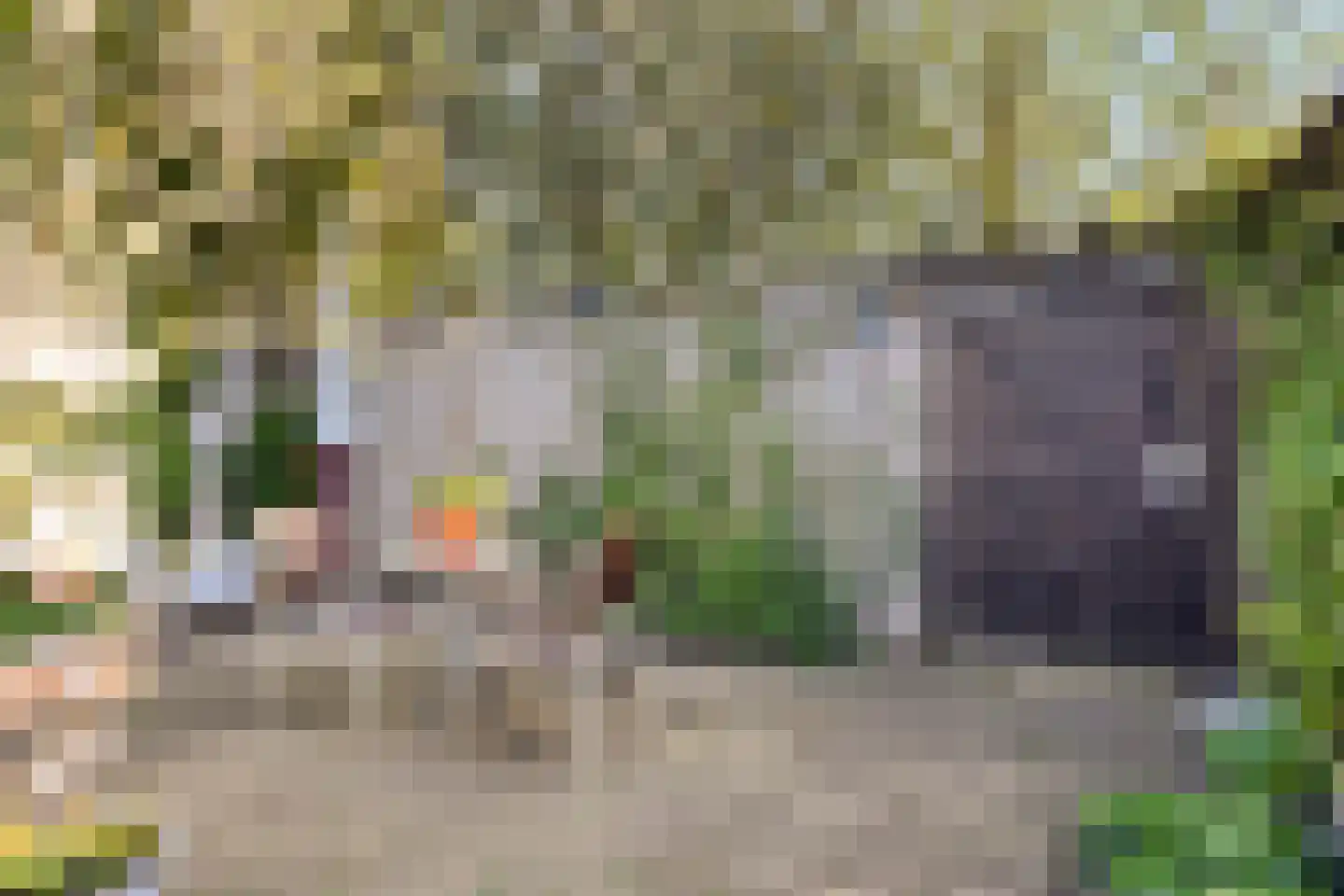 Binnendijk 132 Huissen thumbnail 7