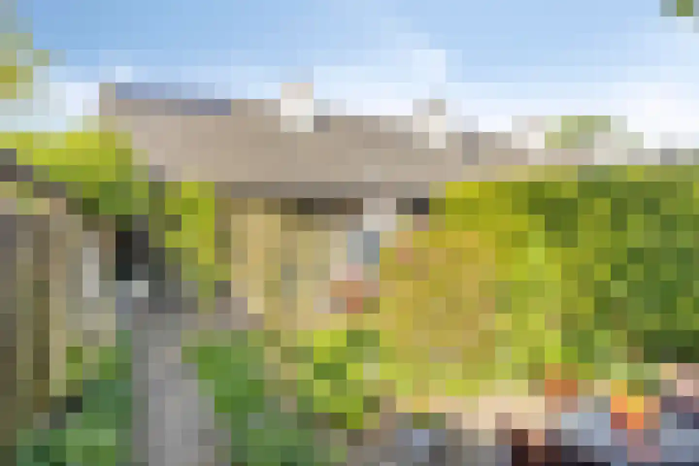 Binnendijk 132 Huissen thumbnail 8