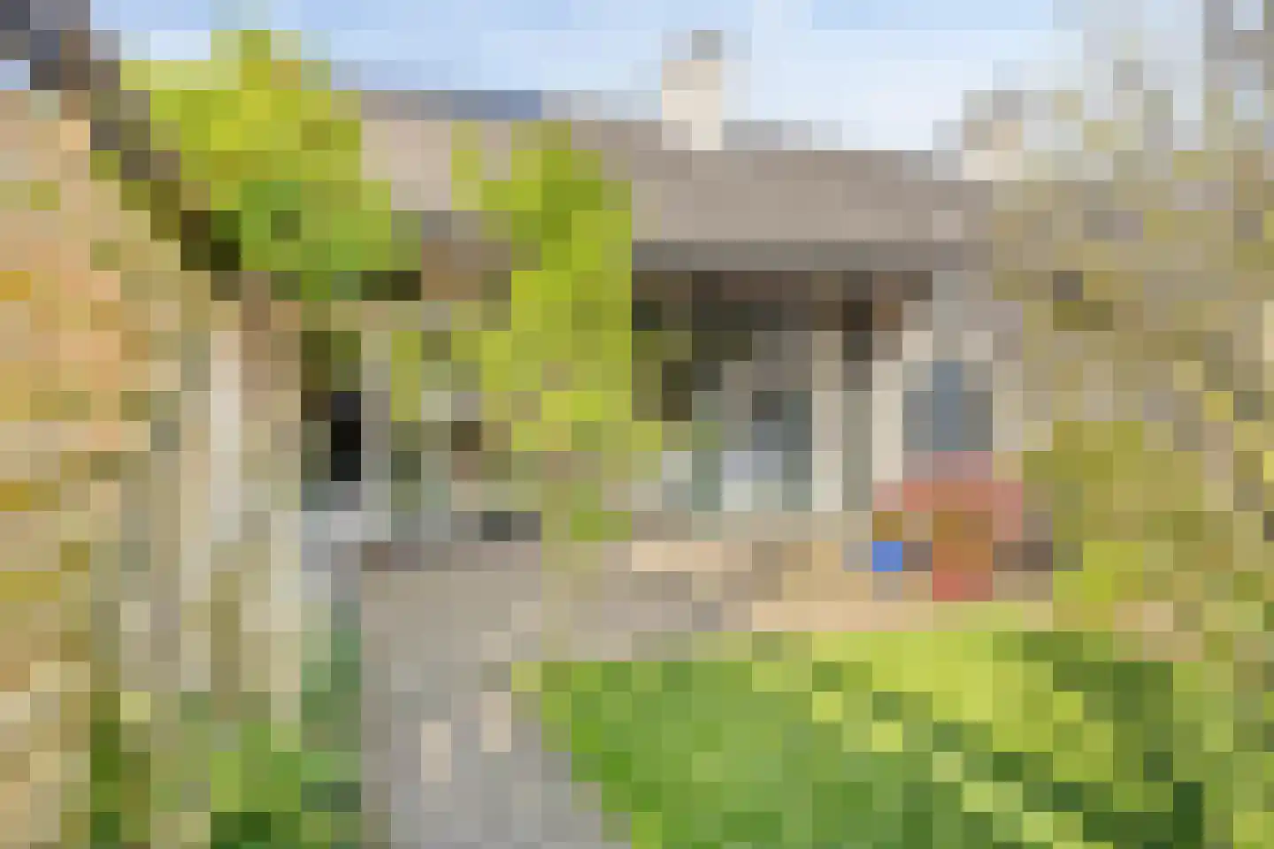 Binnendijk 132 Huissen thumbnail 9
