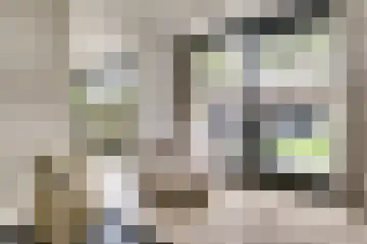 Binnendijk 18 Huissen thumbnail 10