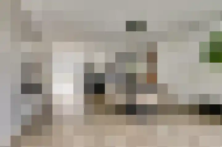 Binnendijk 18 Huissen thumbnail 11