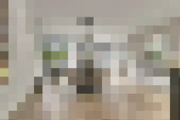 Binnendijk 18 Huissen thumbnail 12