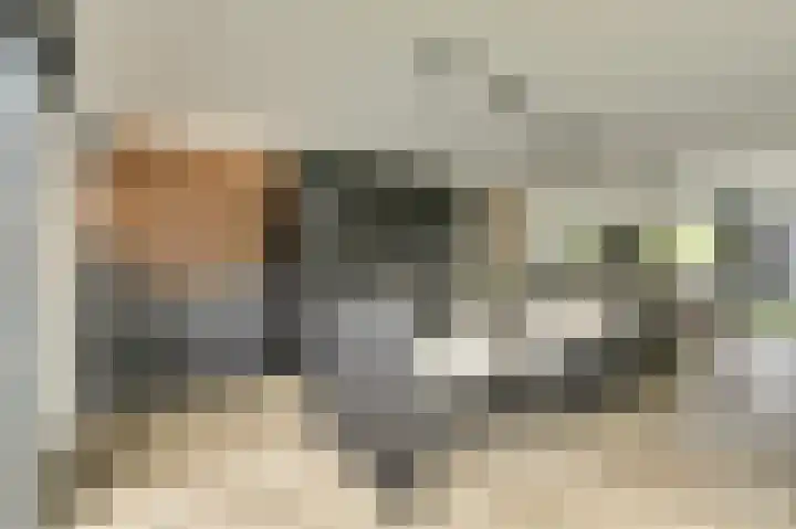 Binnendijk 18 Huissen thumbnail 13