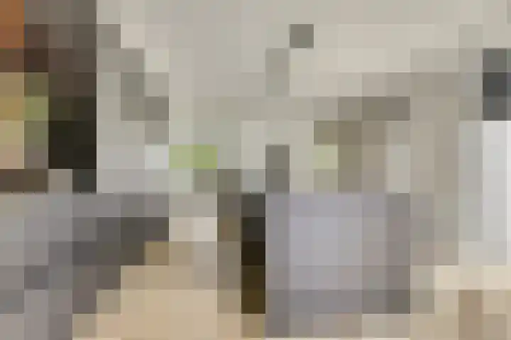 Binnendijk 18 Huissen thumbnail 14