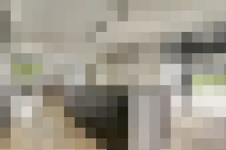 Binnendijk 18 Huissen thumbnail 16