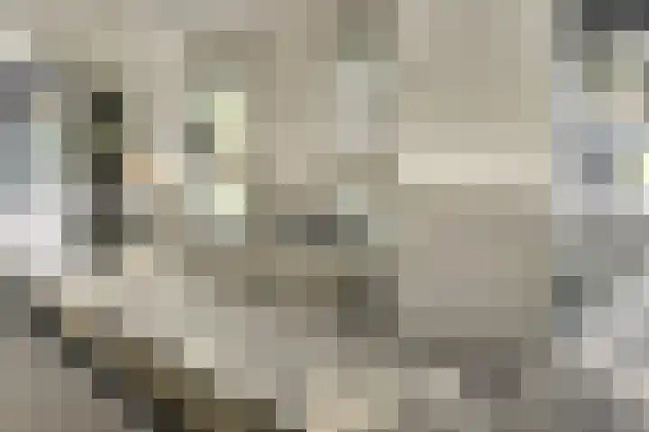 Binnendijk 18 Huissen thumbnail 17