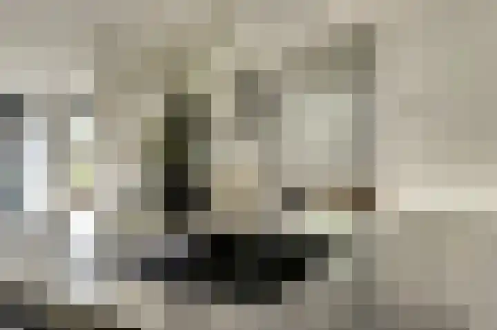 Binnendijk 18 Huissen thumbnail 18