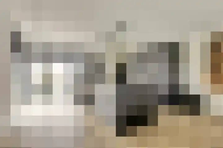 Binnendijk 18 Huissen thumbnail 20