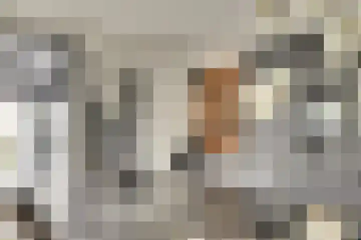 Binnendijk 18 Huissen thumbnail 21