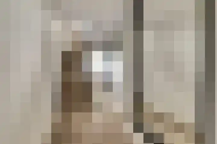 Binnendijk 18 Huissen thumbnail 22