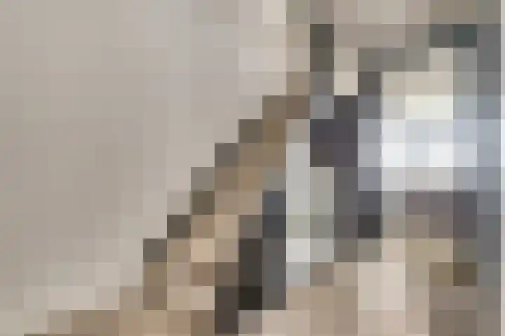 Binnendijk 18 Huissen thumbnail 23
