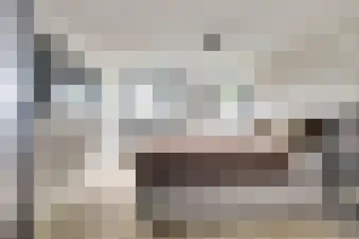 Binnendijk 18 Huissen thumbnail 24