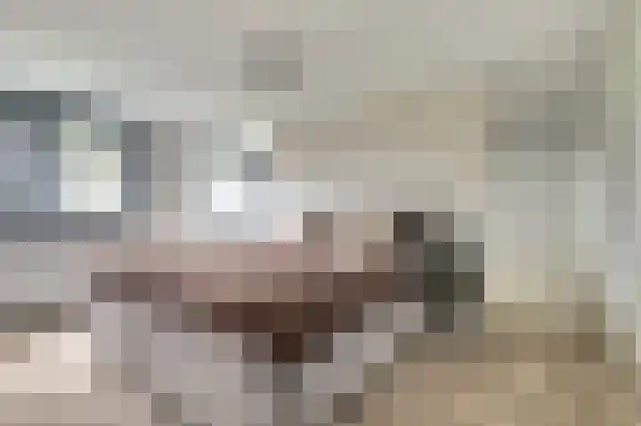 Binnendijk 18 Huissen thumbnail 25