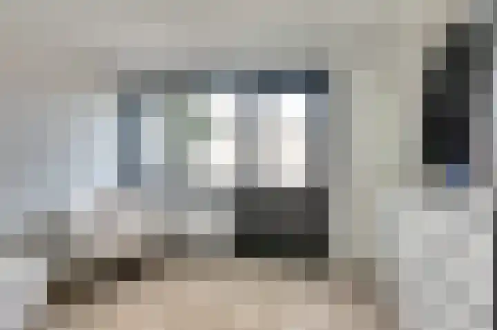 Binnendijk 18 Huissen thumbnail 30