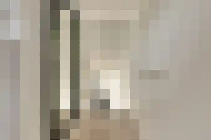 Binnendijk 18 Huissen thumbnail 36