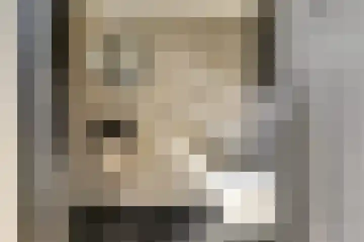 Binnendijk 18 Huissen thumbnail 38