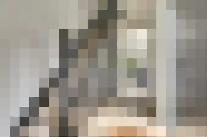 Binnendijk 18 Huissen thumbnail 4