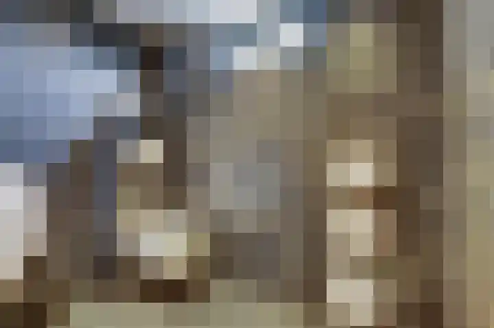 Binnendijk 18 Huissen thumbnail 40