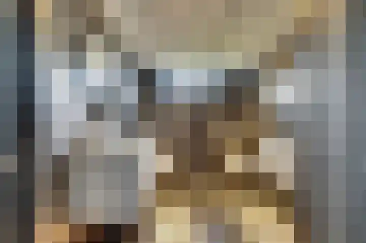 Binnendijk 18 Huissen thumbnail 41