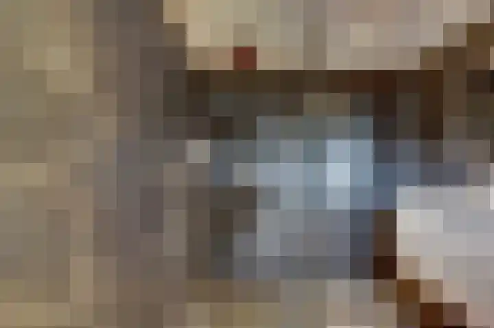 Binnendijk 18 Huissen thumbnail 42