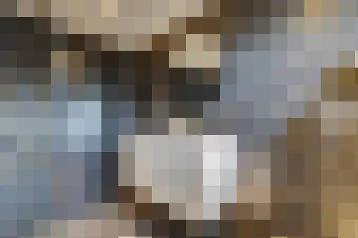 Binnendijk 18 Huissen thumbnail 43