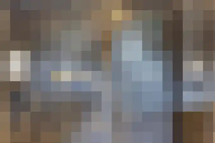 Binnendijk 18 Huissen thumbnail 44
