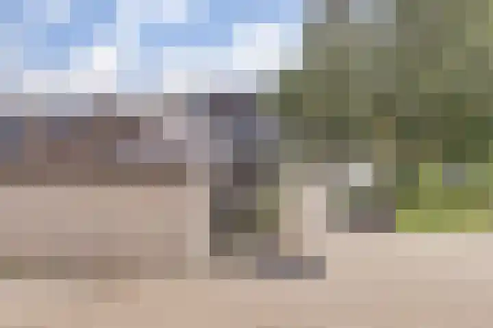 Binnendijk 18 Huissen thumbnail 47