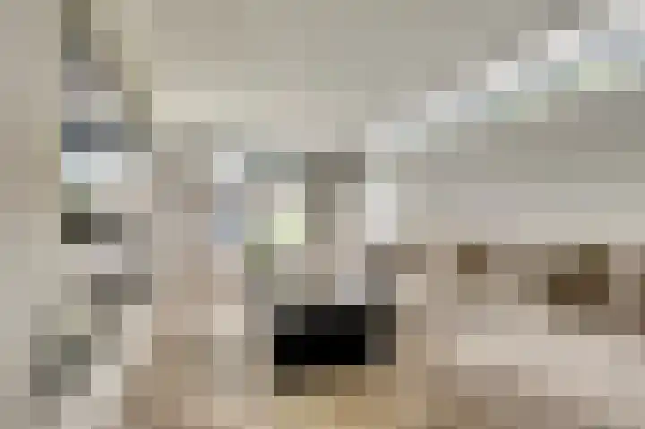 Binnendijk 18 Huissen thumbnail 5