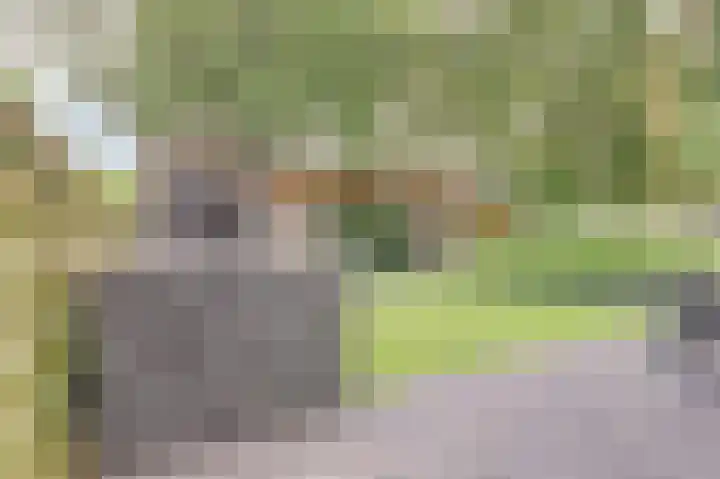 Binnendijk 18 Huissen thumbnail 53