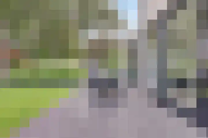 Binnendijk 18 Huissen thumbnail 54