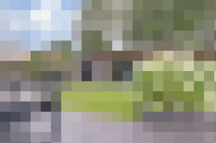 Binnendijk 18 Huissen thumbnail 56