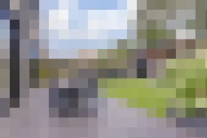 Binnendijk 18 Huissen thumbnail 57