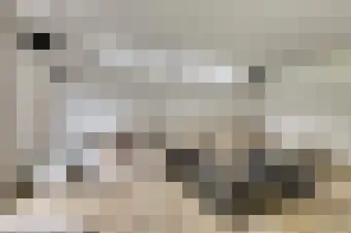 Binnendijk 18 Huissen thumbnail 6