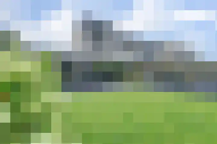 Binnendijk 18 Huissen thumbnail 60