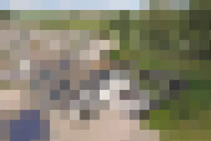Binnendijk 18 Huissen thumbnail 64