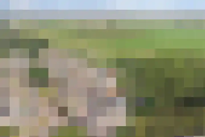 Binnendijk 18 Huissen thumbnail 65