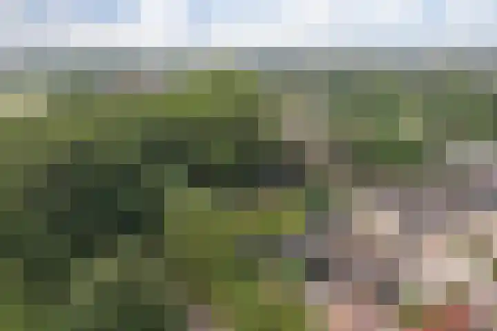 Binnendijk 18 Huissen thumbnail 66